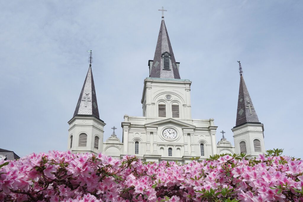 Flowers in bloom at St Louis cathedral in the French Quarter, Jackson Square, New Orleans